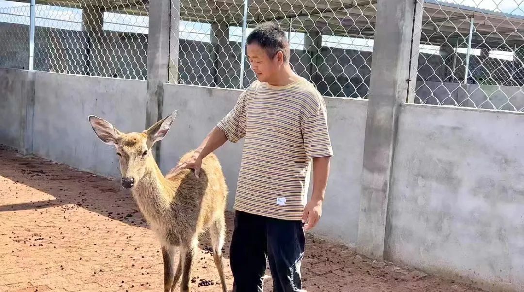 老虎机全新