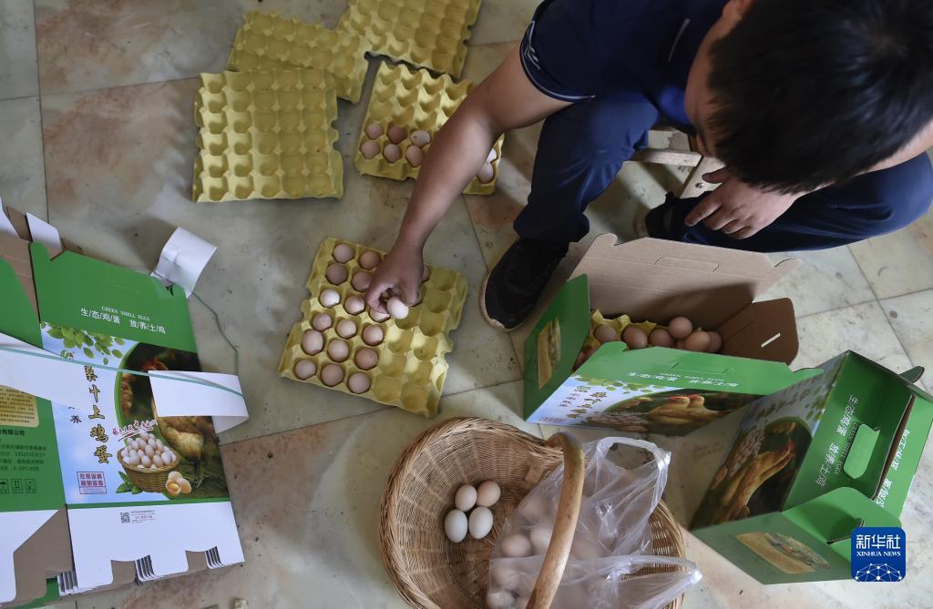 奇亿娱乐注册平台登录